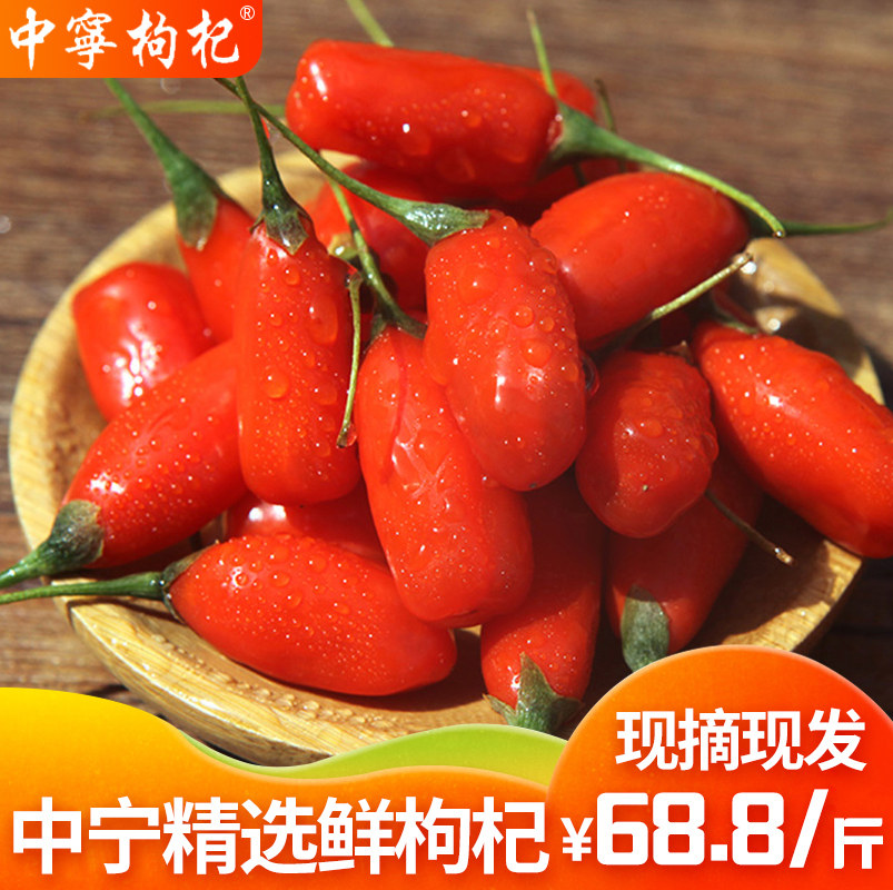 新鲜枸杞子2020年新果正宗头茬枸杞鲜果中宁枸杞顺丰包邮500g