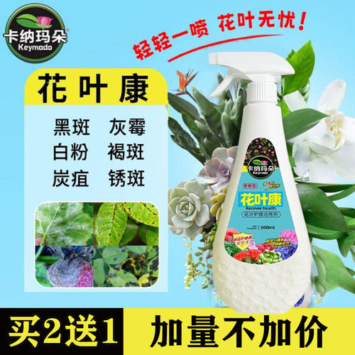 卡纳玛朵花叶康喷剂叶菌康