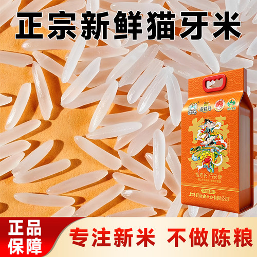 正宗广西一级猫牙长寿香米丝苗米