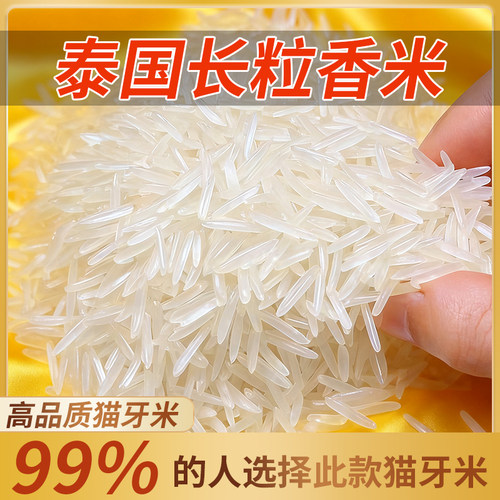 泰国猫牙米茉莉香米原粮进口大米