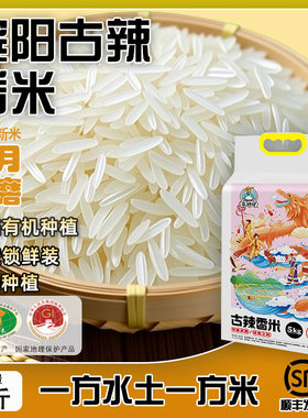 广西特产古辣香米一级晚稻新米