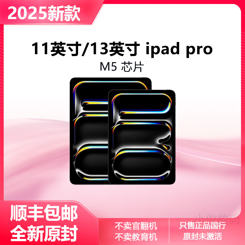 2025款Apple/苹果 13 英寸 iPad Pro 11寸
