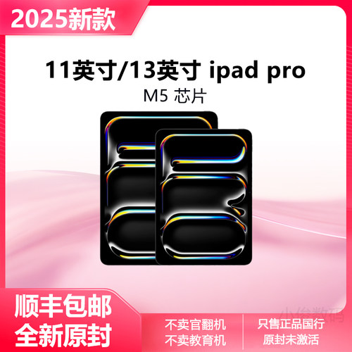 Apple/苹果iPadPro13英寸iPad