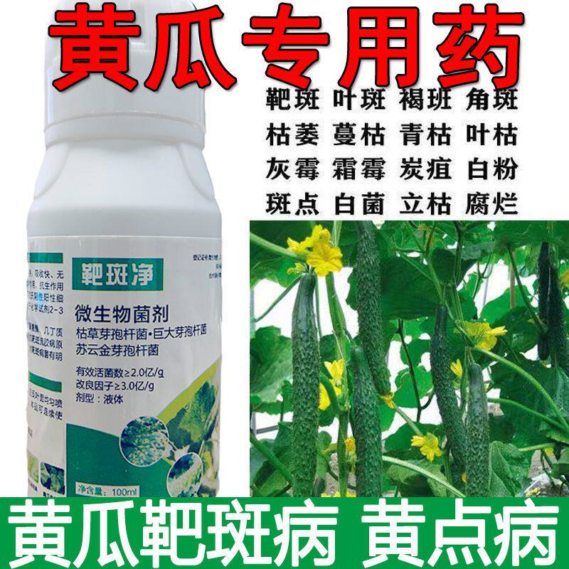 黄瓜杀菌剂黄瓜专用药黄瓜靶斑病叶斑病角斑病灰霉病专治药