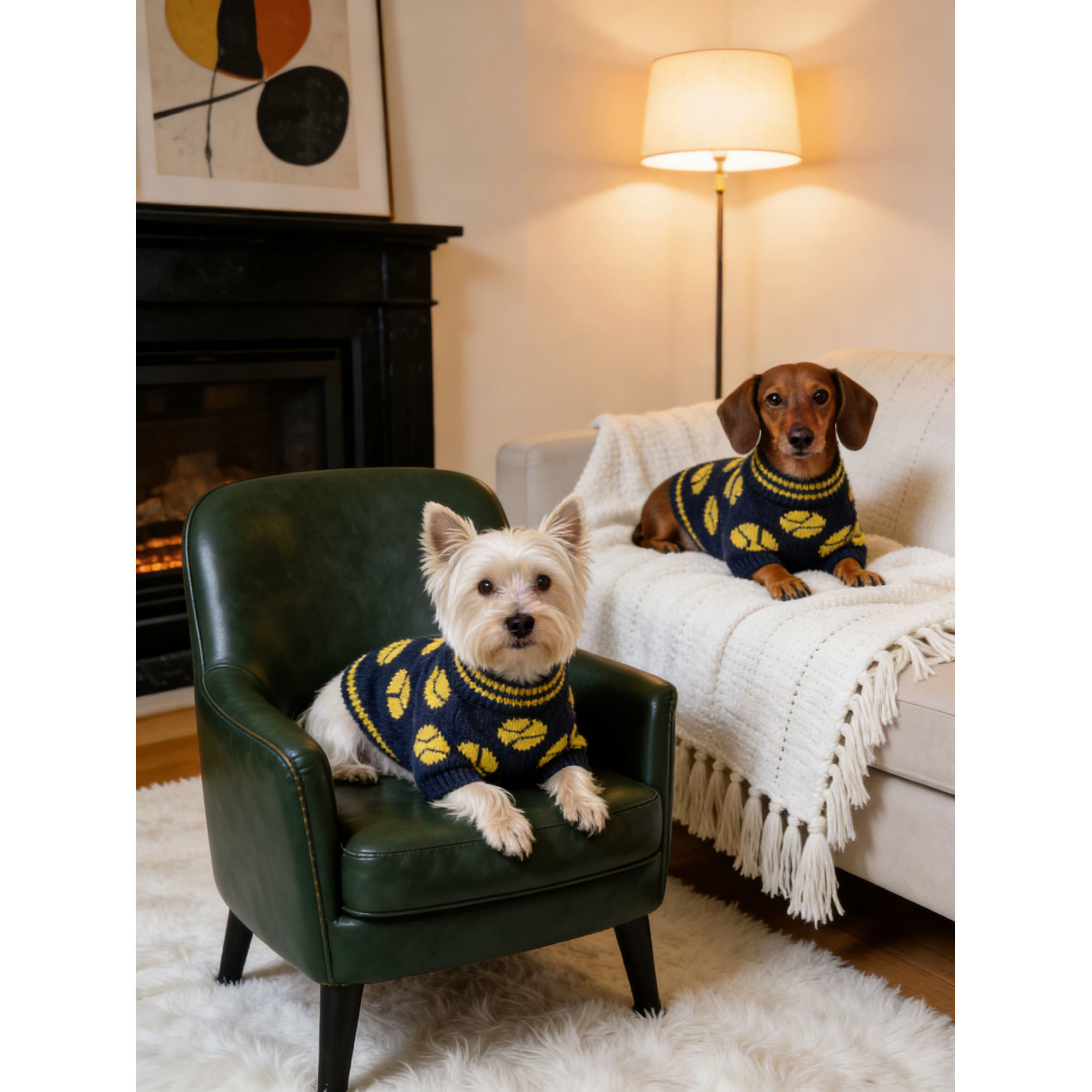 狗狗猫咪针织毛衣 春秋冬花卉星星篮球图案 比熊腊肠犬宠物衣服,宠物/宠物食品及用品,狗宠物服装/雨衣,淘宝优惠券,粉丝福利购,淘宝优惠卷