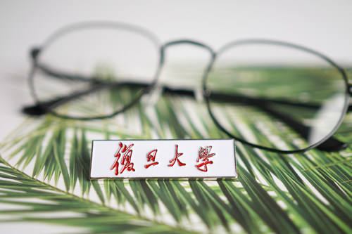 复旦大学徽章纪念品校徽