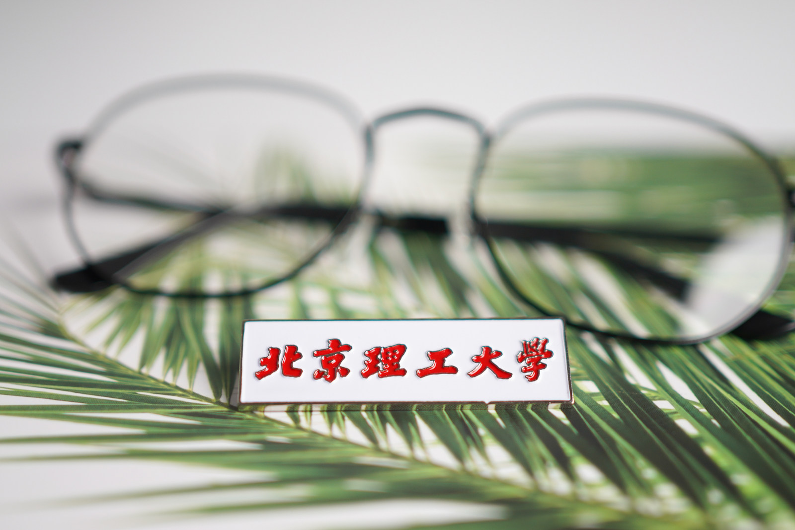 北京理工大学校徽北理工校徽北京理工大学徽章北京理工大学纪念品