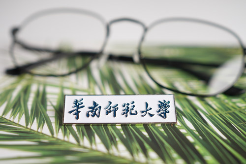华南师范大学纪念品徽章