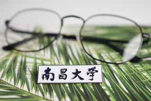 南昌大学校徽  南昌大学徽章 南昌大学纪念品