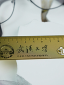 武大尺子镀铜 武汉大学黄铜尺 武汉大学尺子 武汉大学直尺