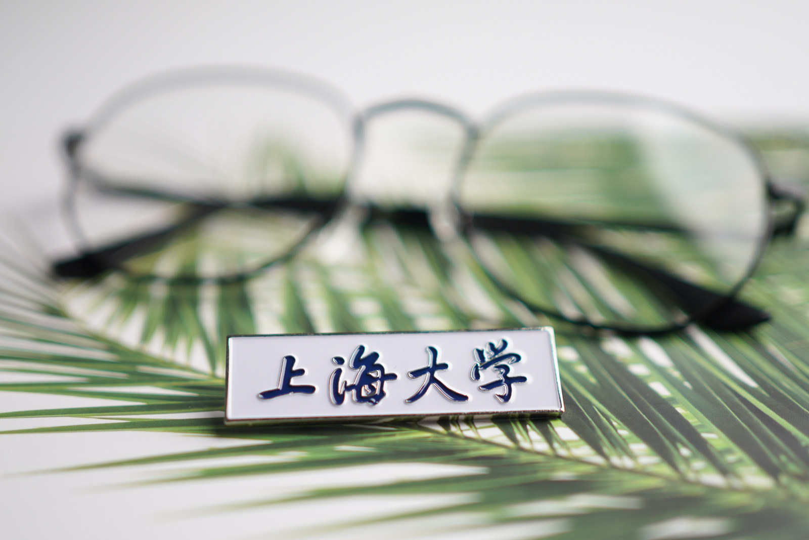 上海大学校徽 上大校徽 上海大学徽章 上海大学纪念品