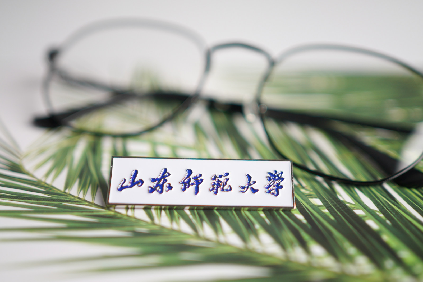 山东师范大学校徽山师大校徽山东师范大学徽章山东师范大学纪念品