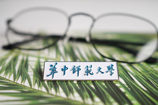 华中师范大学校徽华师大校徽华中师范大学徽章华中师范大学纪念品