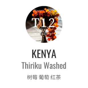 T12肯尼亚涅里喜莉可合作社水洗精品浅烘咖啡豆莓果小番茄新产季