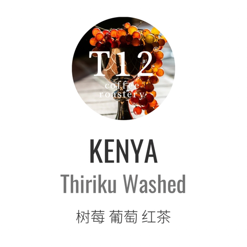 T12肯尼亚涅里喜莉可水洗咖啡豆