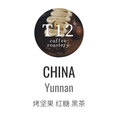 T12云南孟连中深咖啡豆醇厚不酸