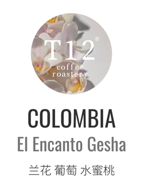T12新产季哥伦比亚瑰夏LaREB魅力庄园Encanto水洗浅烘精品咖啡豆