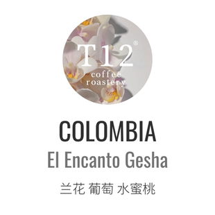 T12新产季哥伦比亚瑰夏LaREB魅力庄园Encanto水洗浅烘精品咖啡豆