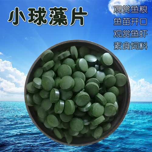 小球藻异形底栖迷宫鱼苗开口粮