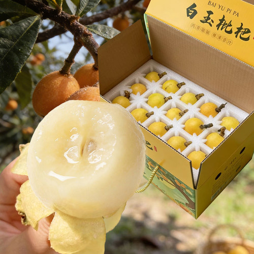 枇杷中的爱马仕好吃清甜