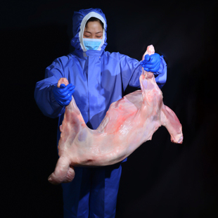 正宗内蒙全羊苏尼特全羊新鲜冷冻羔羊肉烤全羊一整只白条羊30斤