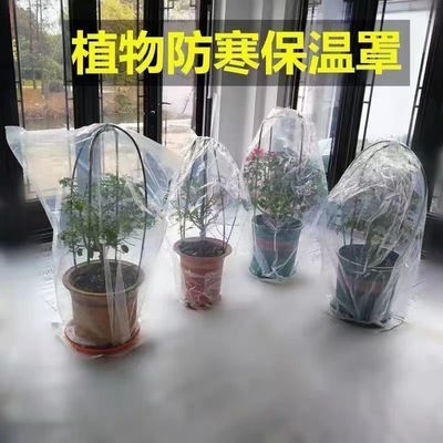 植物防寒保暖罩防寒保暖保护罩