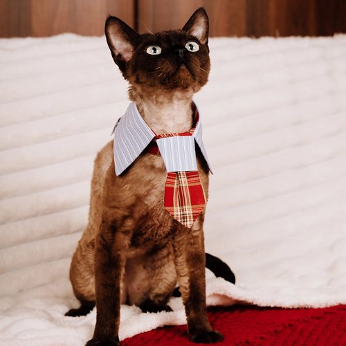 No.1104安可拉红格狗狗口水巾领结小中型犬狗猫围兜原创设计