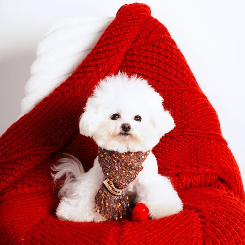 No.1104秋冬咖色豆豆狗狗围巾纯手工冬季保暖围脖装饰西高地