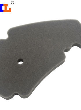 适配阿普利亚APRILIA SRMAX250 比亚乔X7空滤空气滤芯空气滤清器