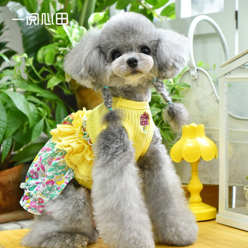 一阅心田亢条上衣小型犬泰迪狗狗衣服纯棉可拆卸包肚子花苞裙