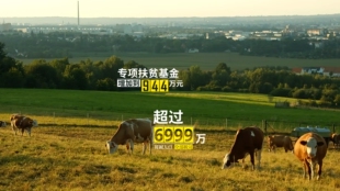 达芬奇宣传片数字增长文字预设(滚动版)一键安装(11套标题)