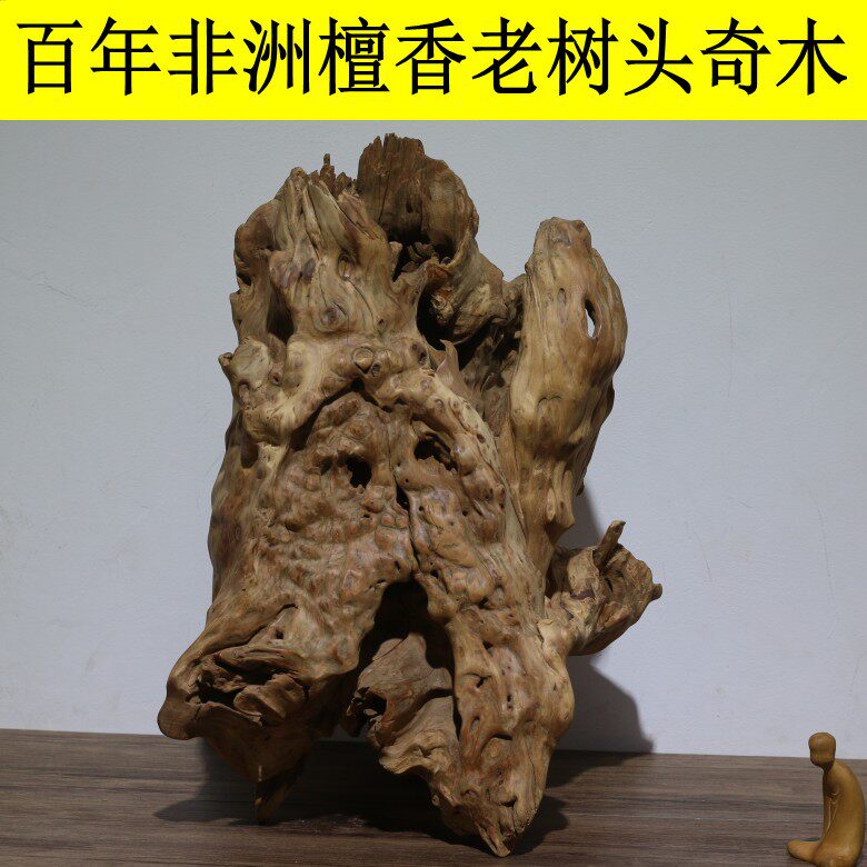 非洲檀香树头奇木香气奶香檀香科檀香树头摆件百年老料奇木收藏