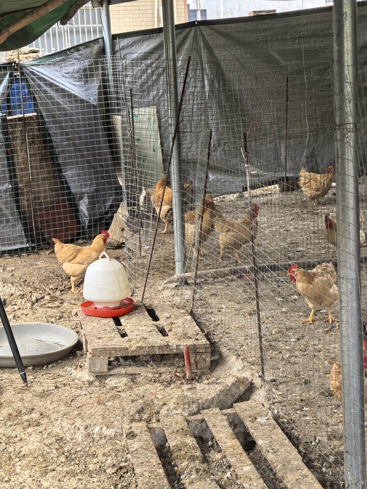 5月7日惠州市地面附属物等资产网络拍卖公告