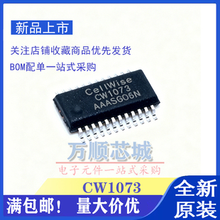 全新 CW1073AAAS CW1072ALBS SSOP 多节锂电池保护IC芯片 原装