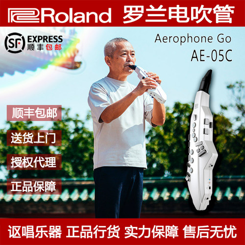 萨克斯电吹管Roland/罗兰AE-05C