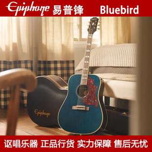 Epiphone木吉他Miranda Lambert Bluebird米兰达兰伯特签名款民谣