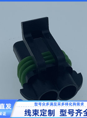 汽车 线束插头 胶壳 外壳 护套 2孔 3ST02FBM 胡连 现货连接器