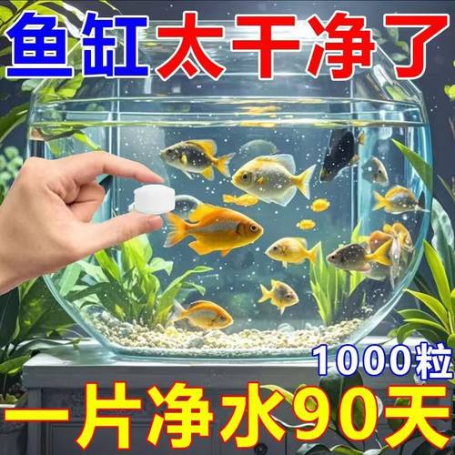 净水专家高级净水片家庭鱼缸专用