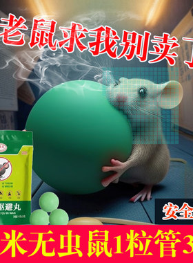 驱鼠车用薄荷防鼠神器