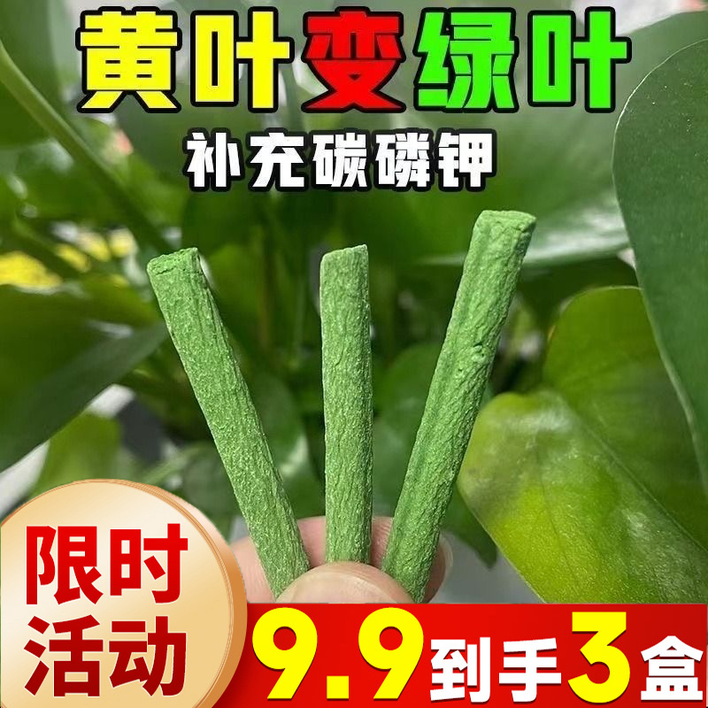 植物缓释肥营养棒养花通用型