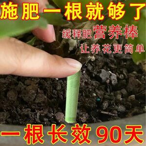 缓释营养棒花肥料家用养花通用型盆栽植物棒状花卉缓释肥营养棒