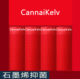 CannaiKelv夏季 冰丝网眼大红内裤 男本命年结婚透气石墨烯平角四角