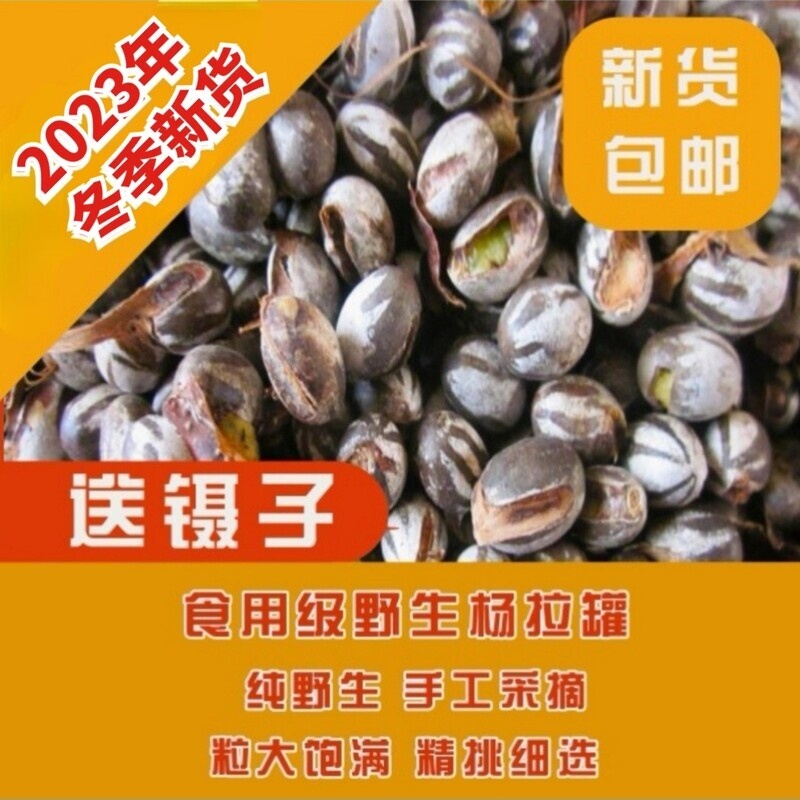 坦克虫洋辣子杨拉罐蜜袋鼯松鼠仓鼠宠物增肥食物零食2023年冬新货