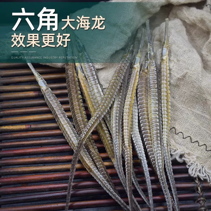 深海六角海龙干煲汤泡酒中药材精选大条滋补养生新鲜自晒