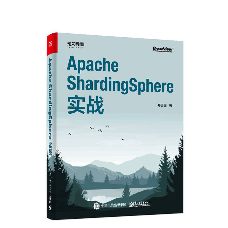 正版书籍 Apache ShardingSphere实战郑天民Java服务器端开发人员同时技术体系ShardingSphere的基本架构、设计思想和应用方式