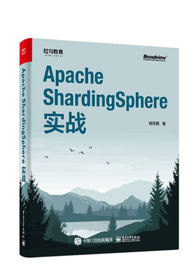正版书籍 Apache ShardingSphere实战郑天民Java服务器端开发人员同时技术体系ShardingSphere的基本架构、设计思想和应用方式