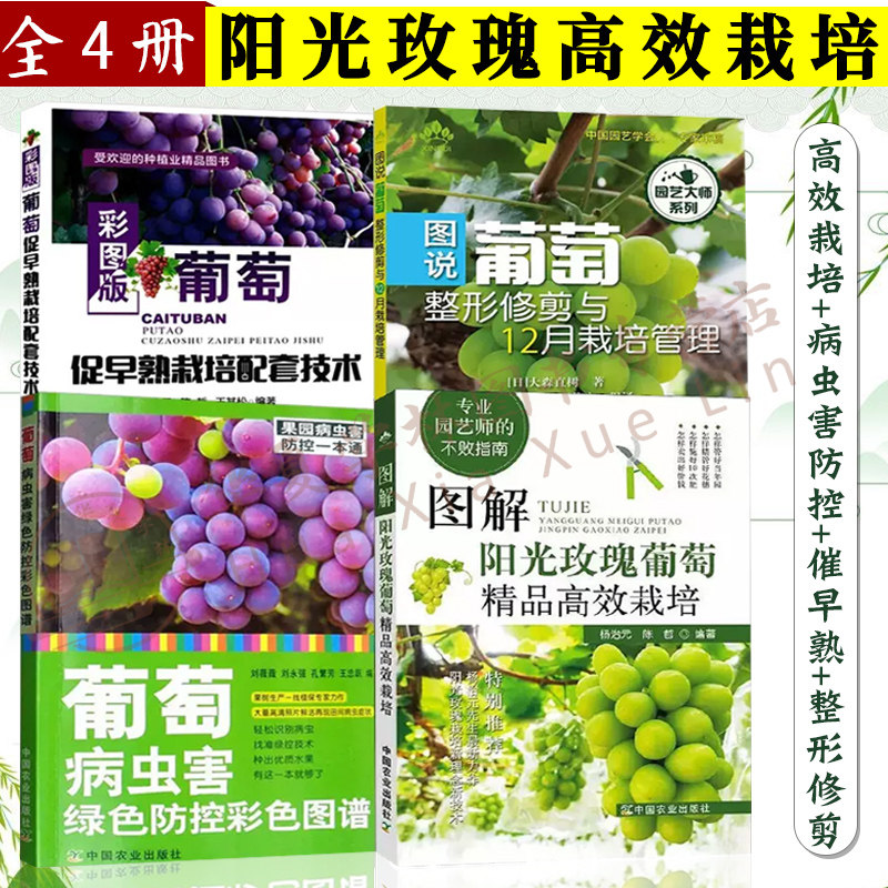 图解阳光玫瑰葡萄精品高效栽培+葡萄病虫害绿色防控彩色图谱+图说葡萄整形修剪与12月栽培管理+葡萄促早熟栽培配 阳光玫瑰种植技术