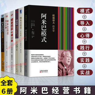 心得12条 导入手册 如何践行 稻盛和夫阿米巴经营书籍全6册 实践指南公司企业经营管理 实学阿米巴模式 实战篇 书 稻盛和夫