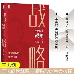 纵横官产学中国式 战略发展之路 产业政策布局 正版 从理念到个人行为 重大抉择 企业减排路线图 机械工业 王志纲论战略关键阶段