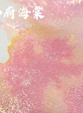 ◆DREAMINK·西府海棠20ml◆嗲嗲粉紫黄层析渐变墨水金粉彩墨手账
